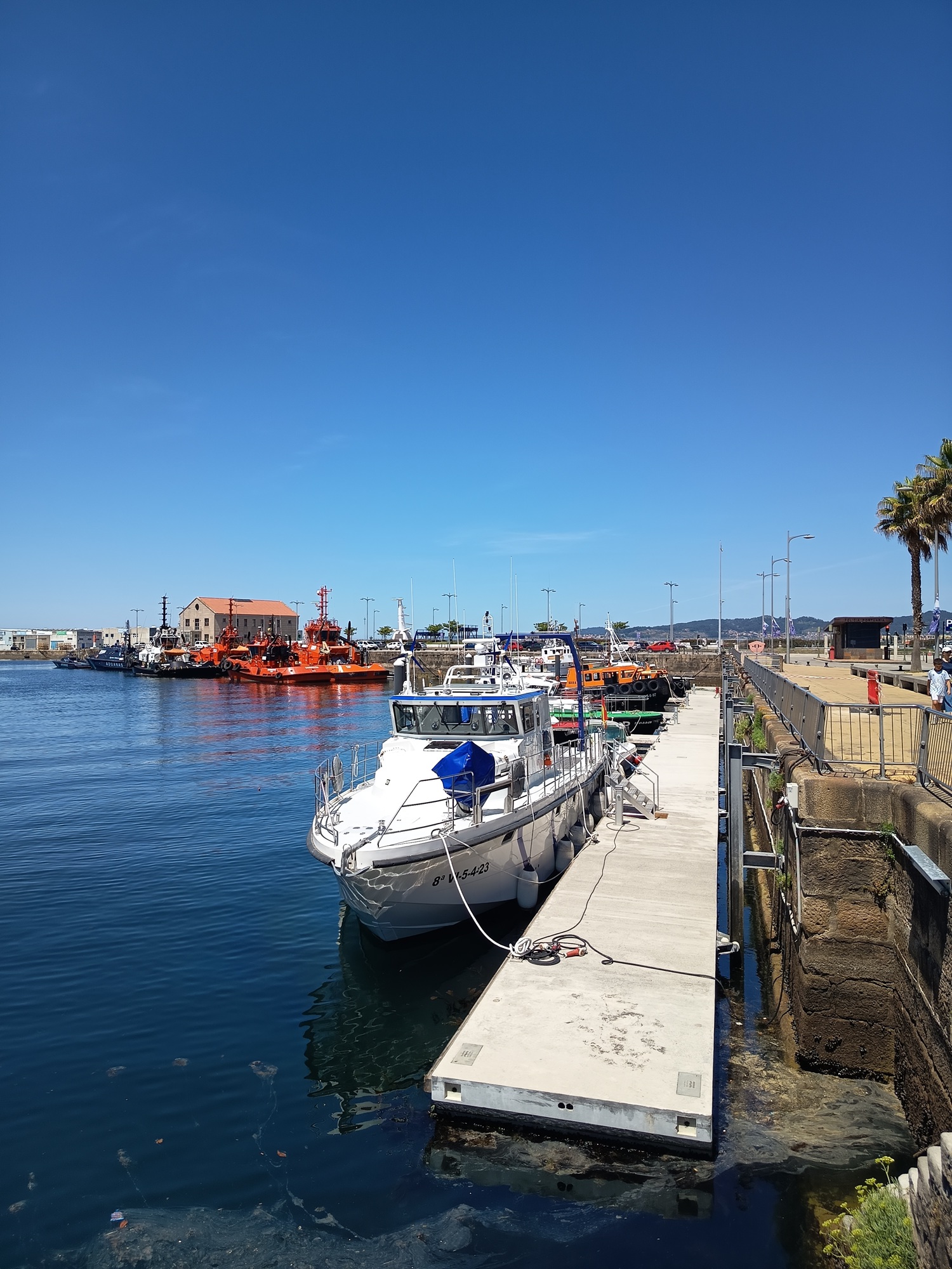 STEEL FREE HEAVY PONTOONS